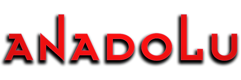 Anadolu Pembe Logo Bursa