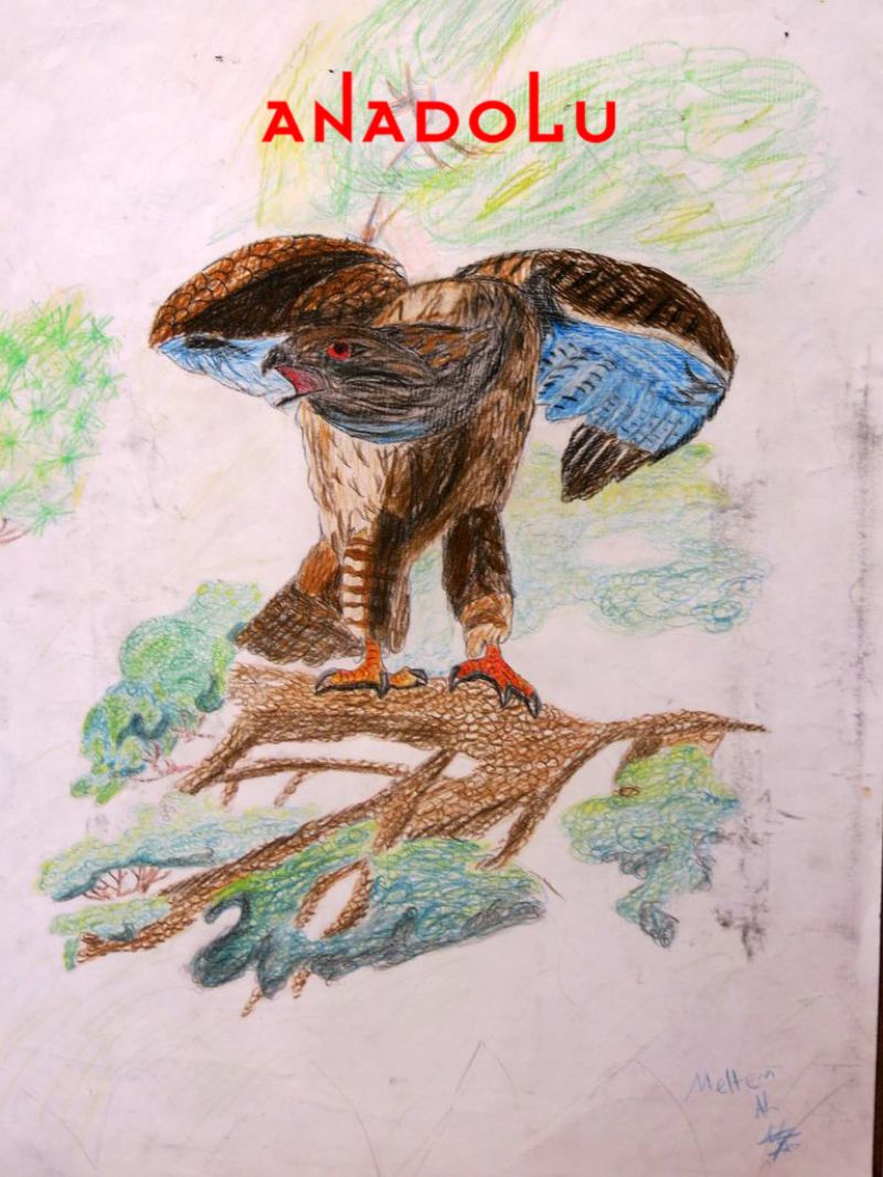 Çocuklara Yönelik Özel Resim Eğitimleri Bursa