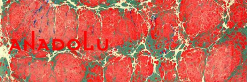 Ebru Kursları Bursa