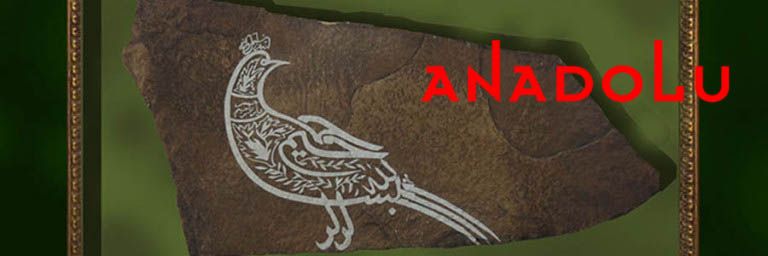 Bursada Hat Dersleri